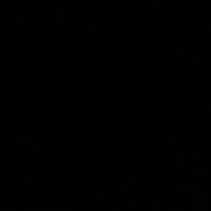 Meet your Posher, Kailyn